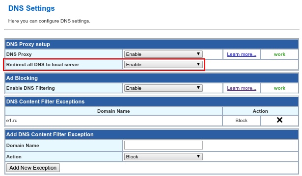 07 Redirectdns redirect to local dns
